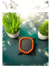 Red Jasper Healing Bracelet